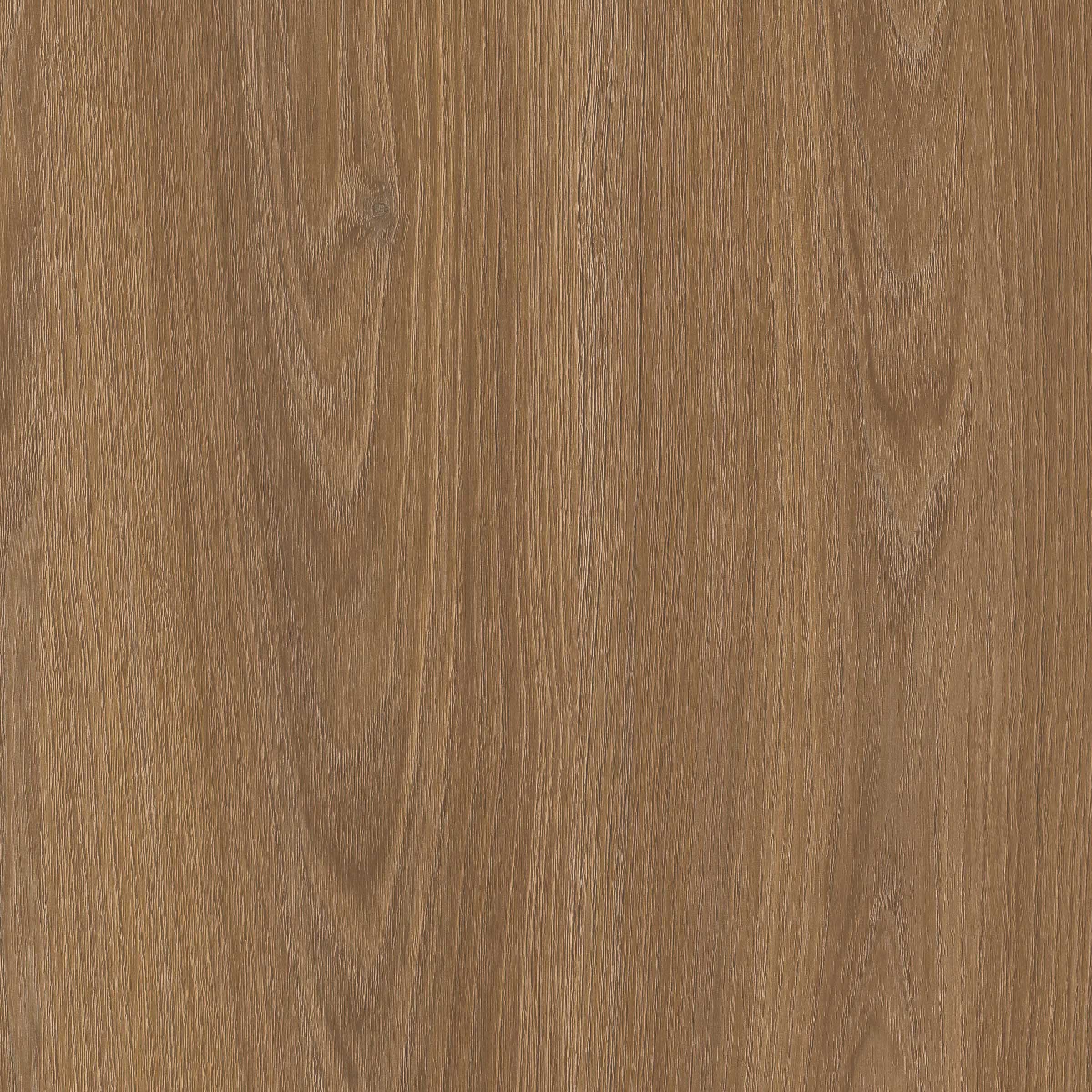 Kiss Curl color sample