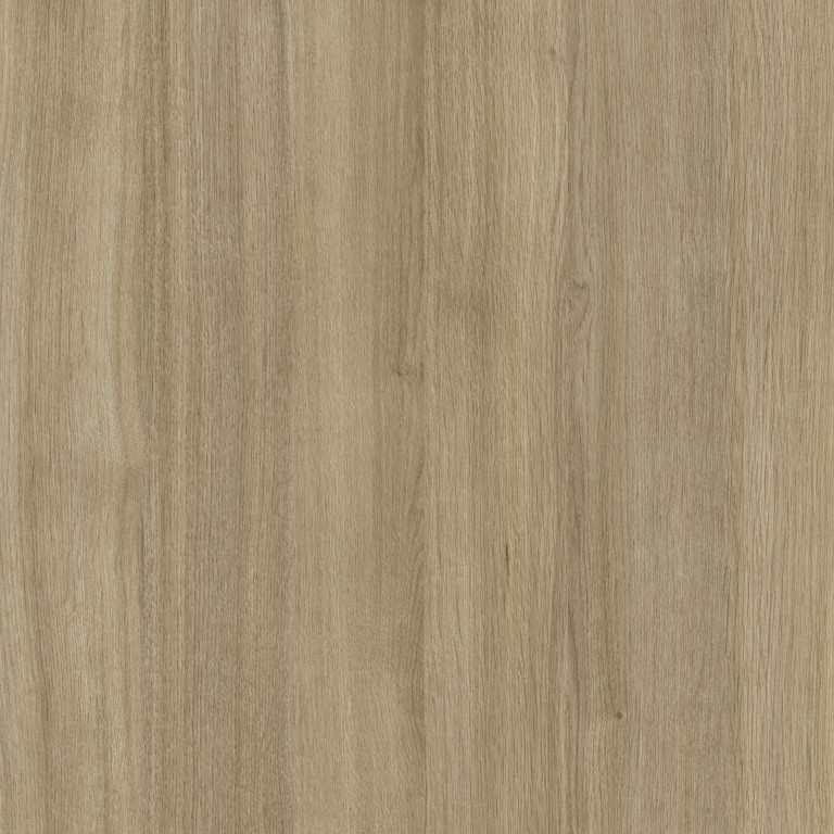 The Chameleon color sample