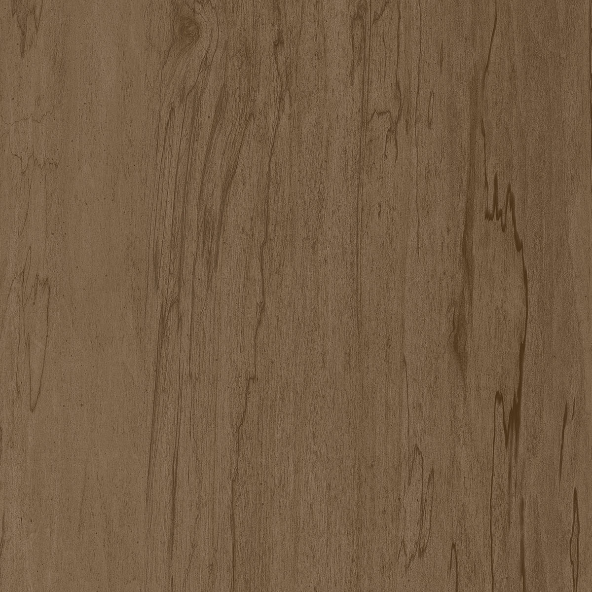 Salt of the Earth color sample